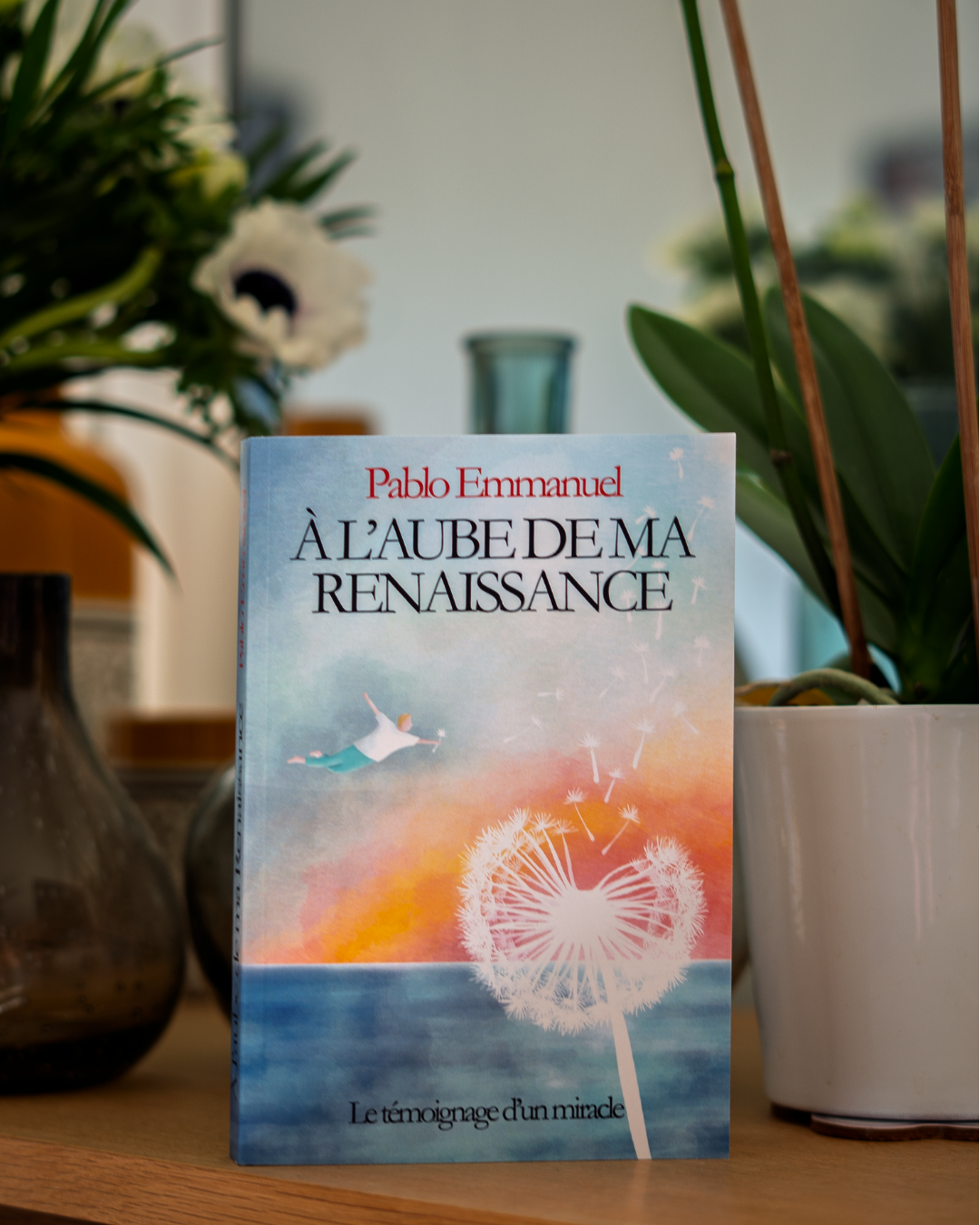 À L'aube de ma Renaissance - Le témoignage d'un miracle